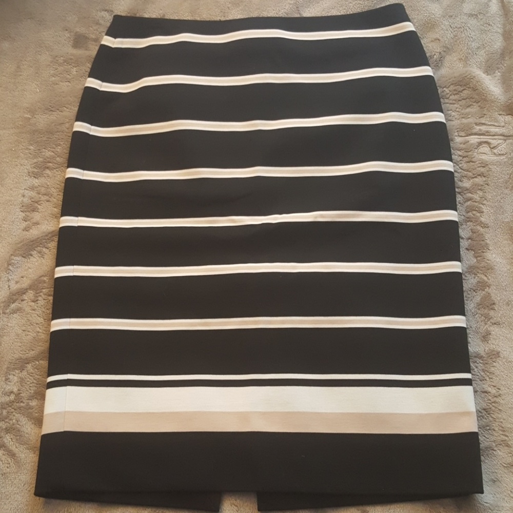 High Waisted Skirt